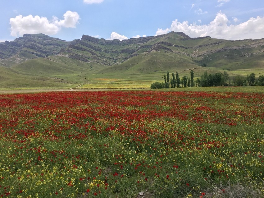 چوخ کچمیشم بو داغلاردان